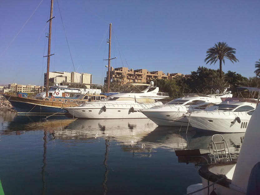 20150407_082216.jpg