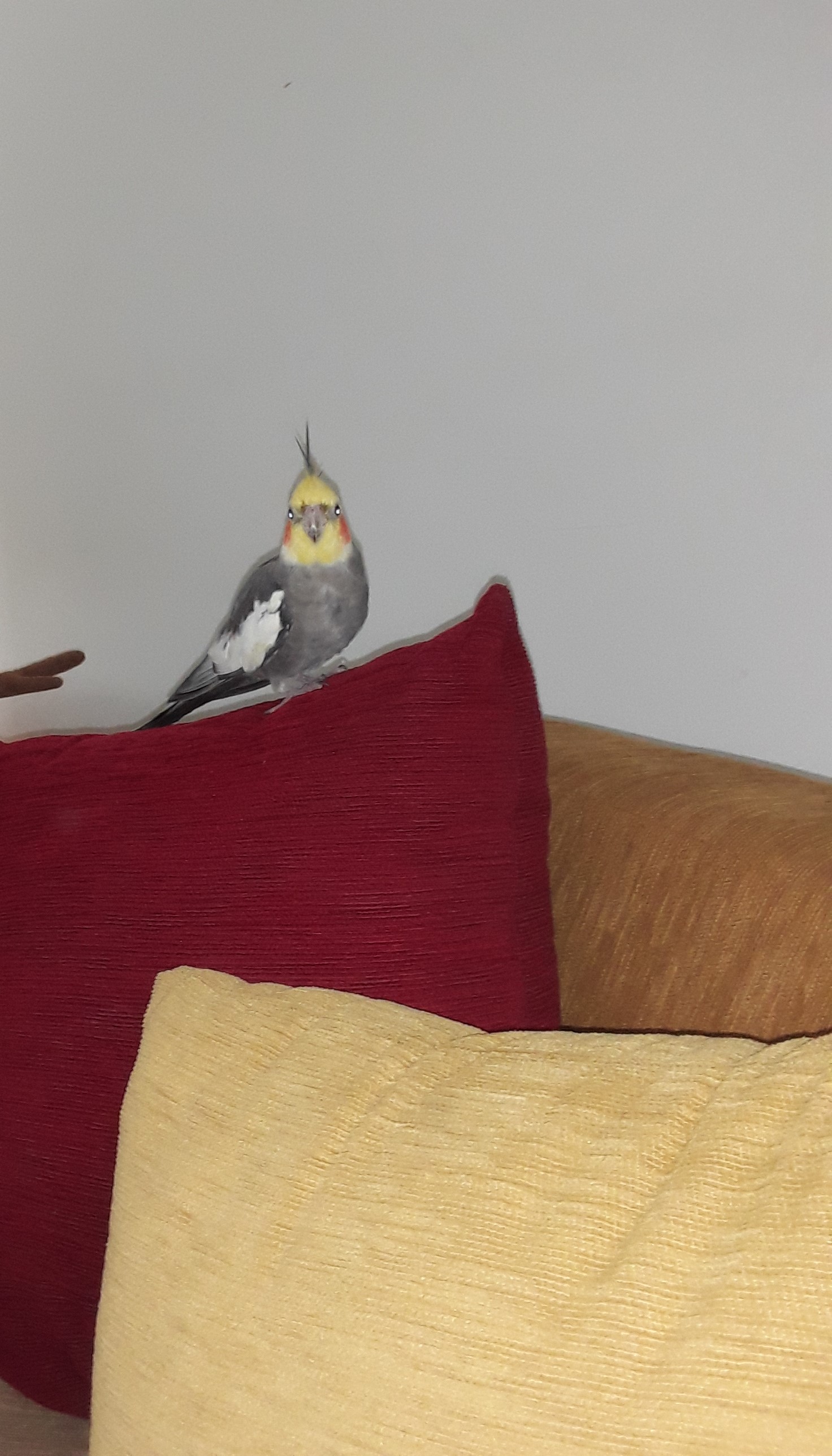 20190615_160820.jpg