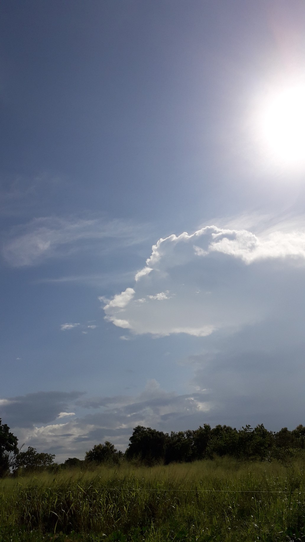 20191127_144738_copy_1032x1834.jpg