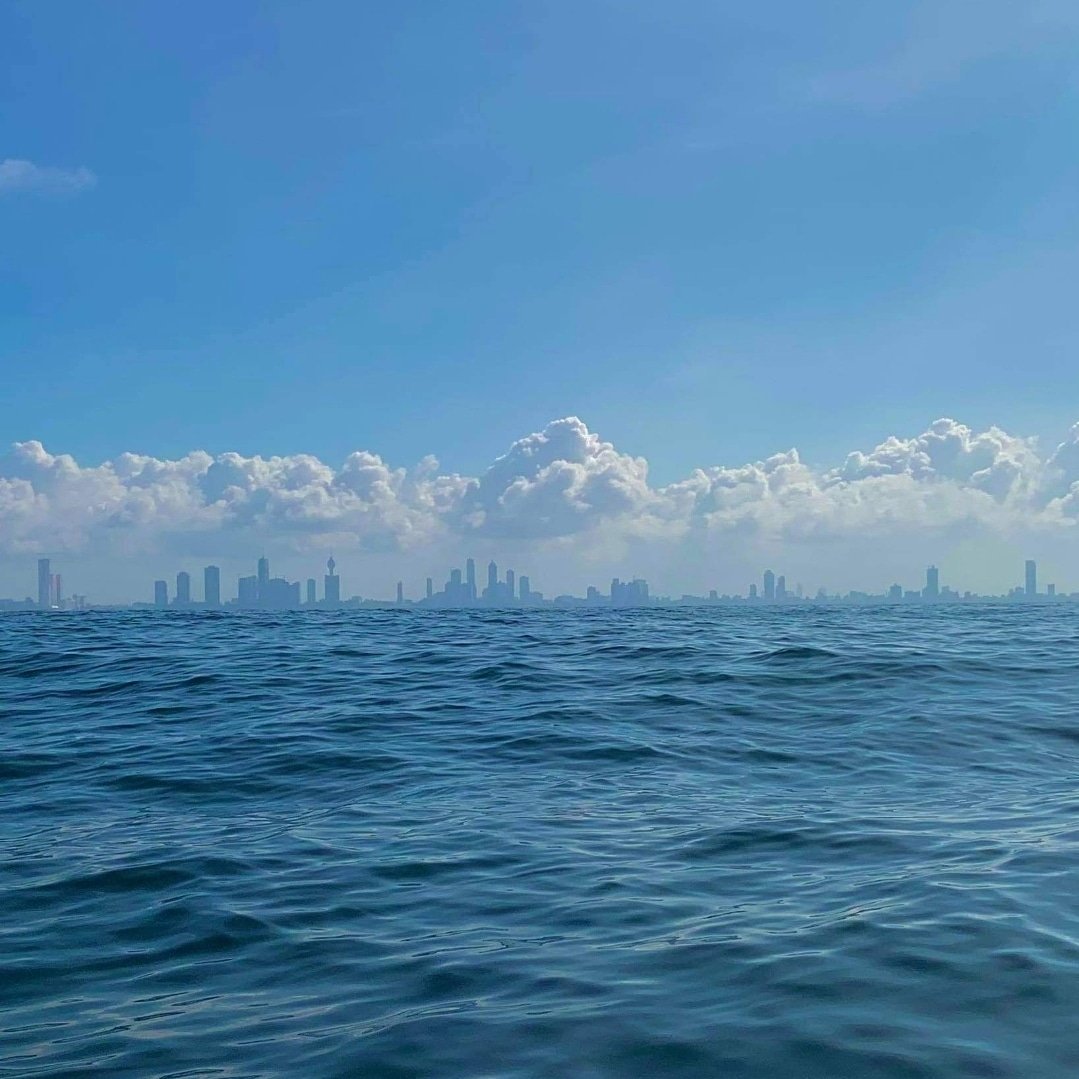 20201027_142153.jpg