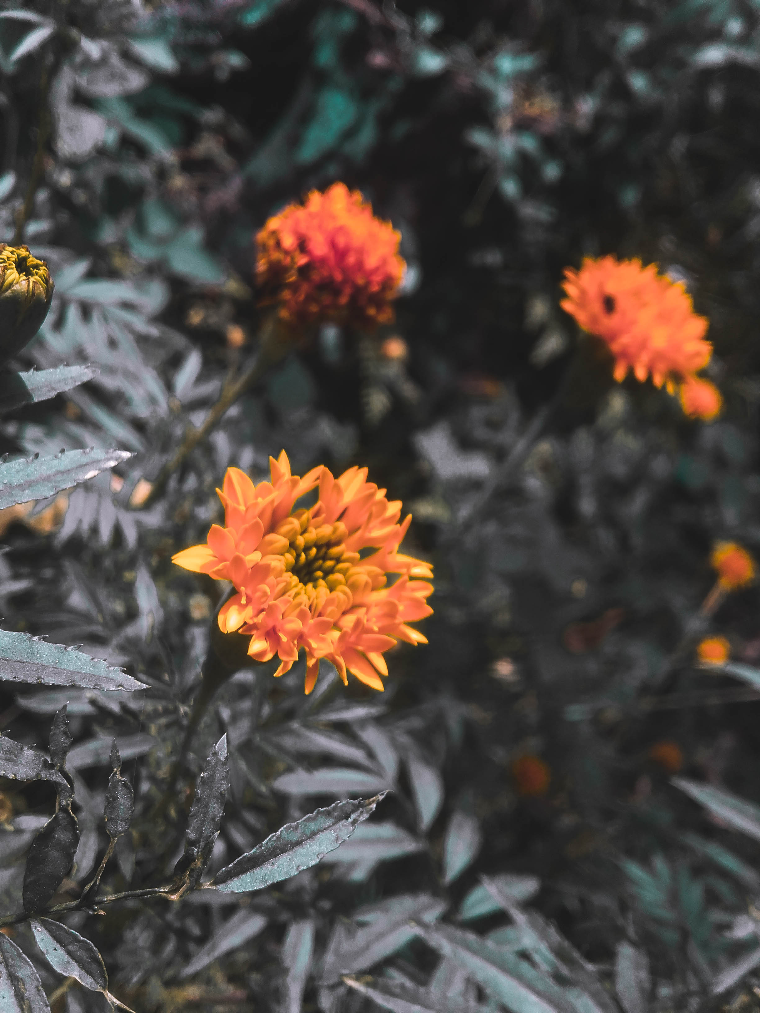 20201101_125143.jpg