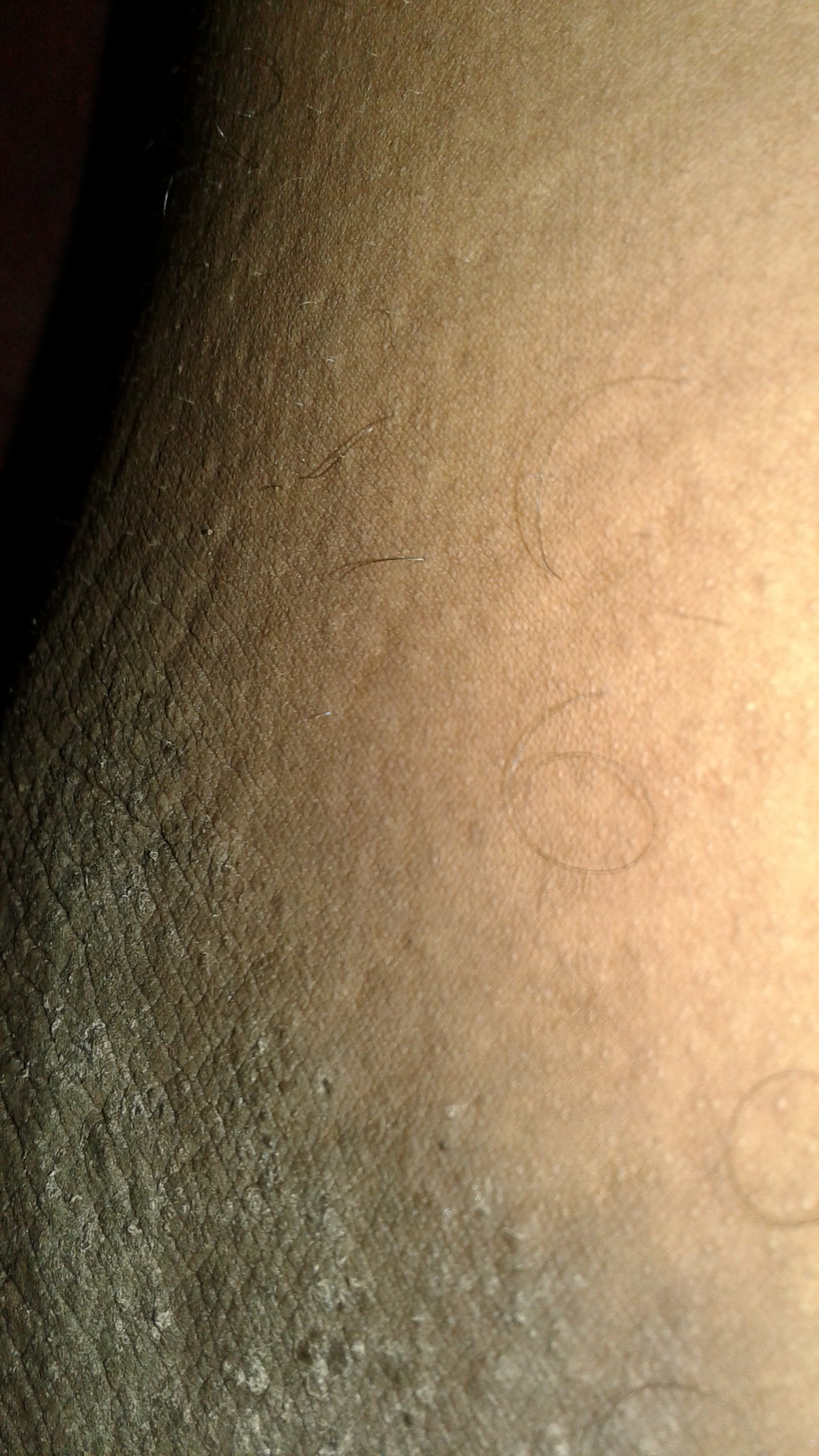 20201206_015046.jpg