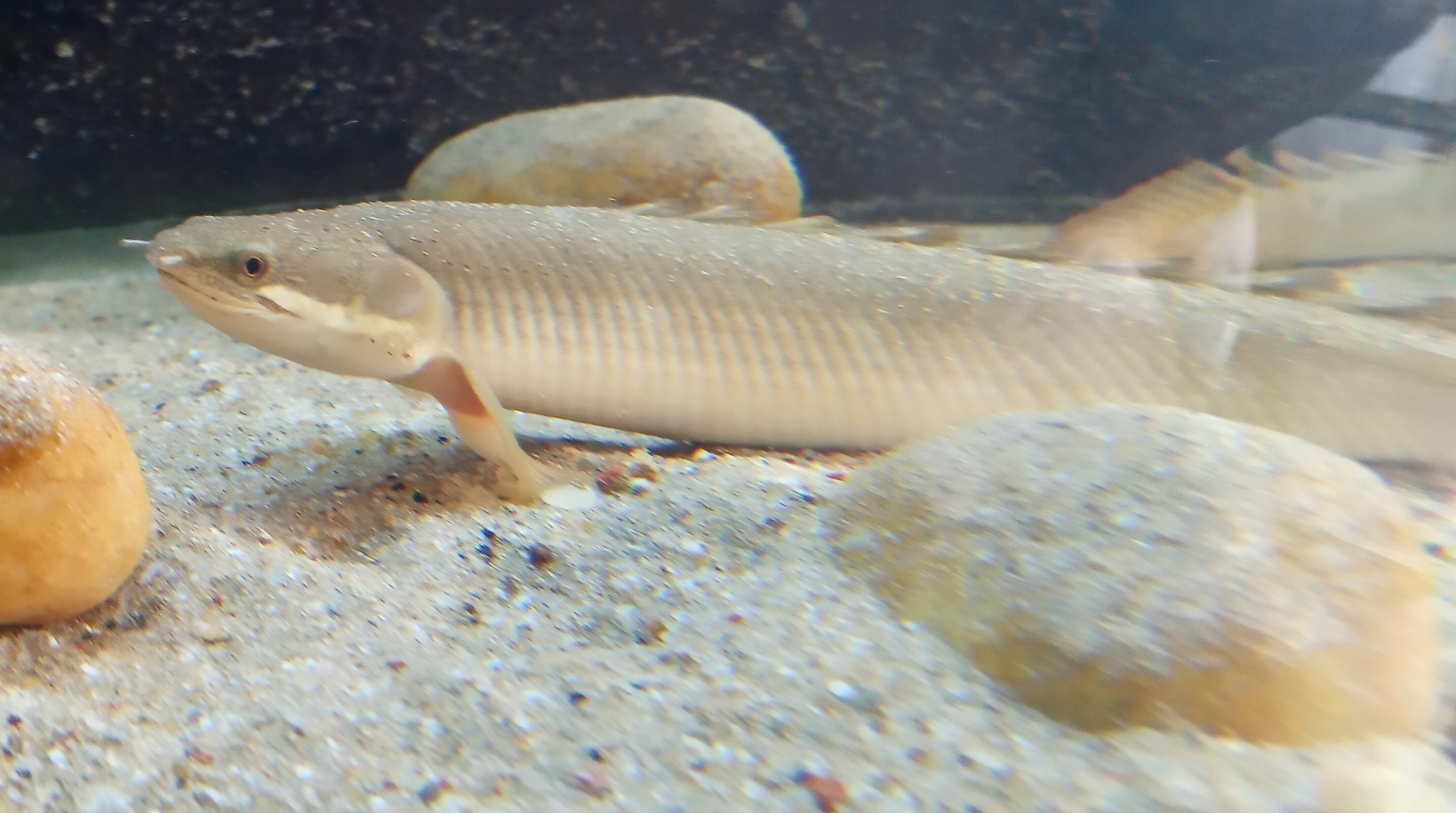 20210802_170825_mfnr.jpg