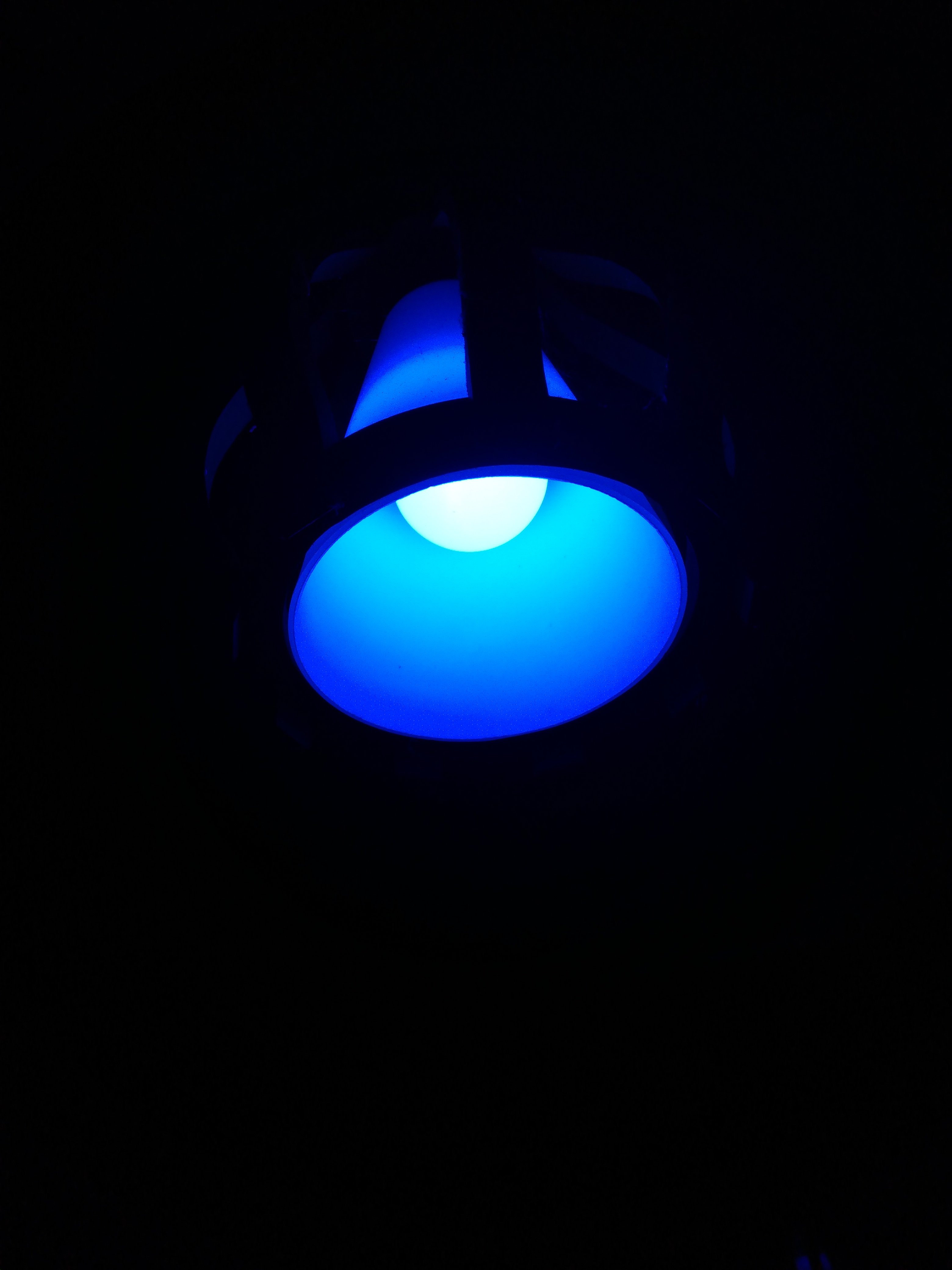 20220906_001121.jpg