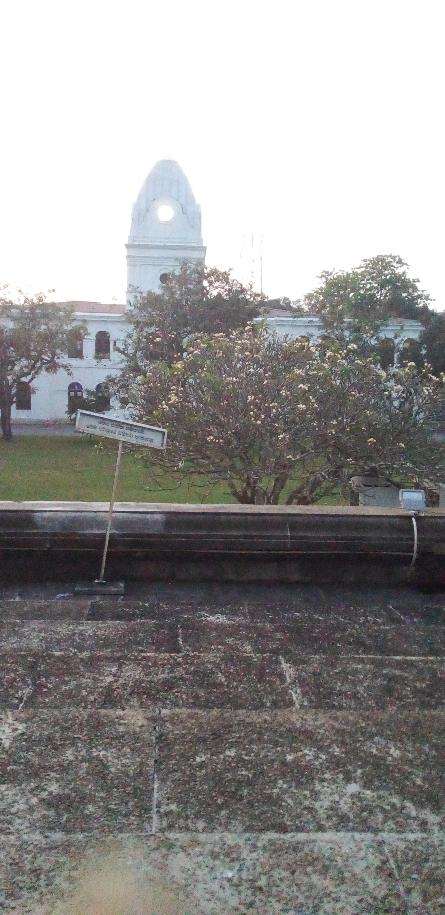 20230228_061038.jpg