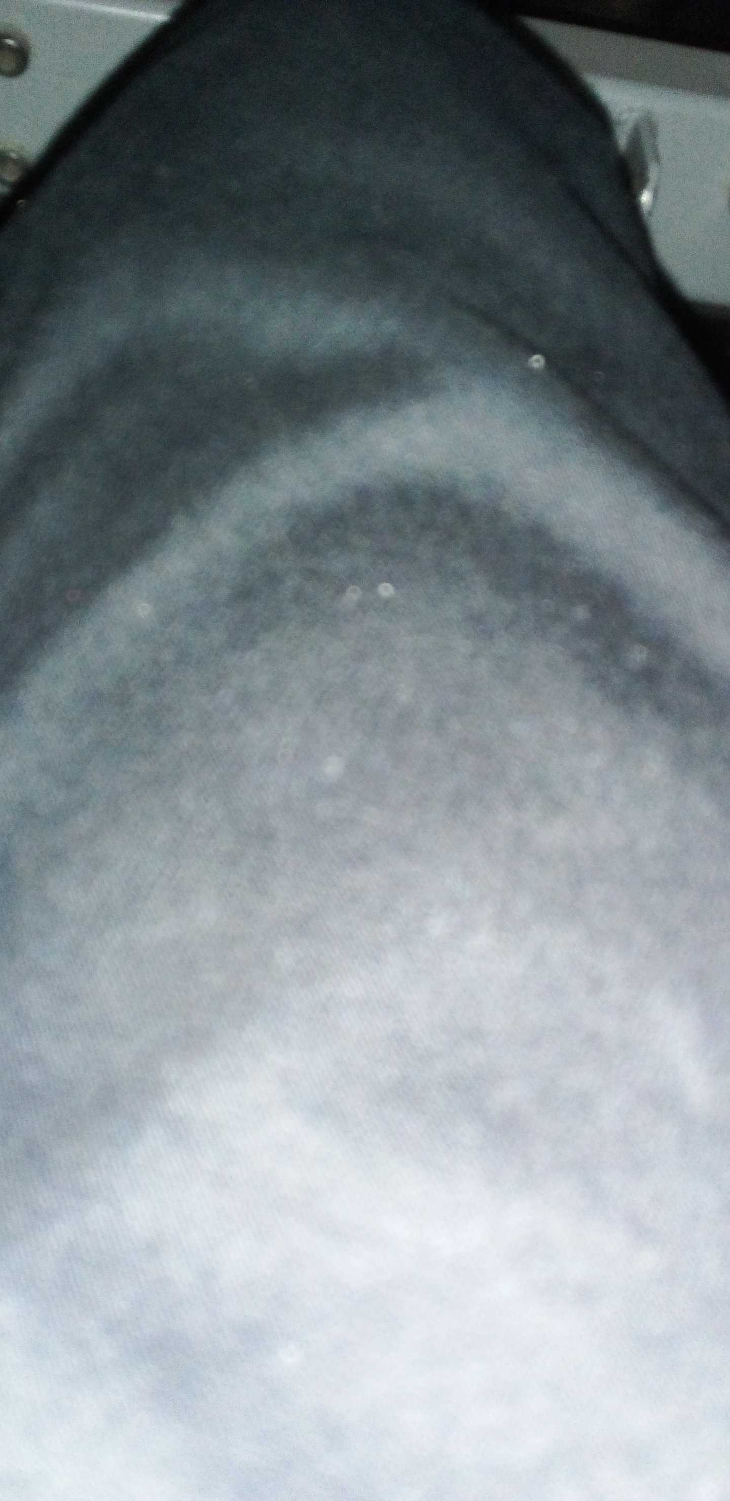 20230301_130153.jpg