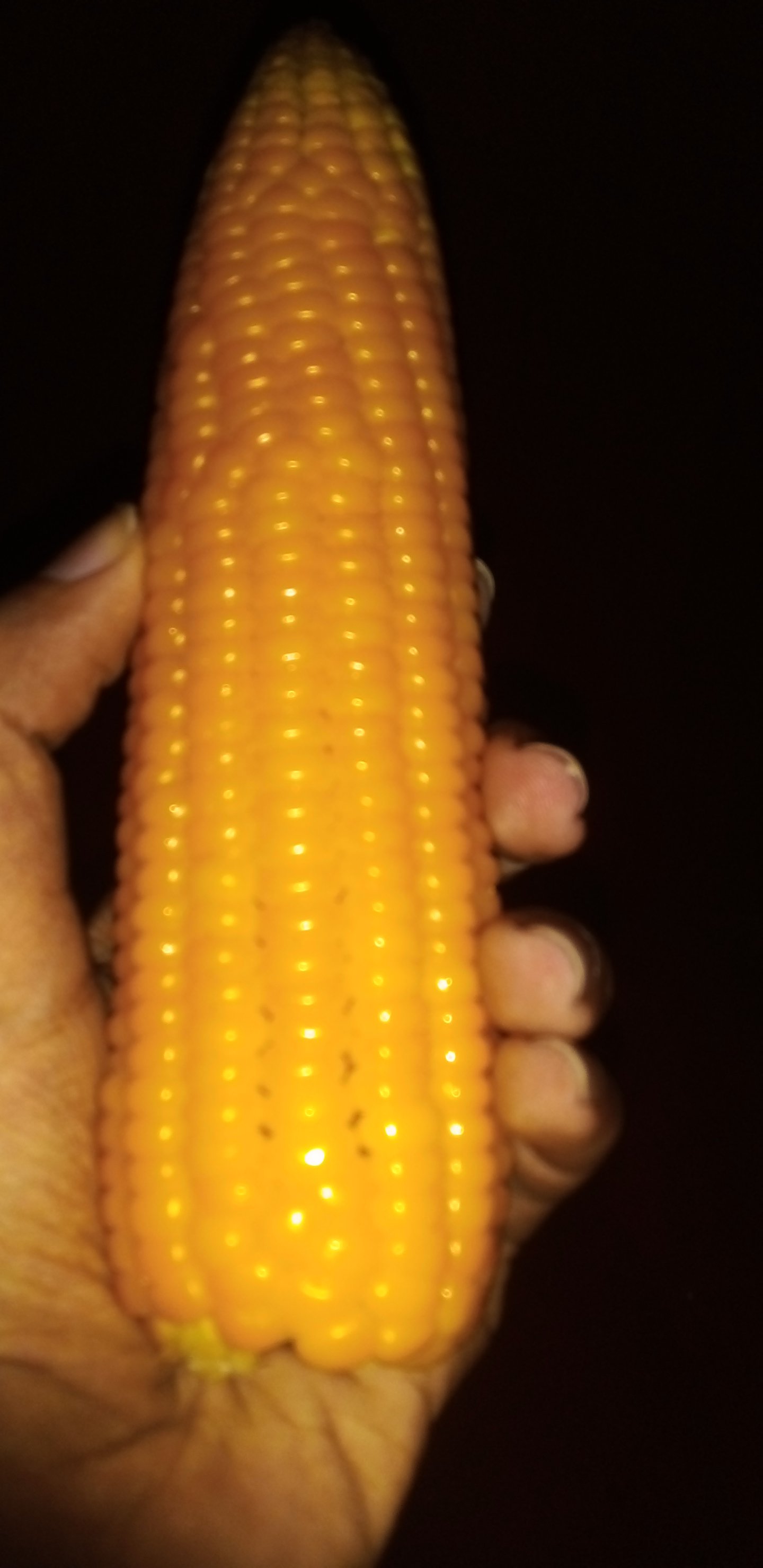 20230310_181326.jpg