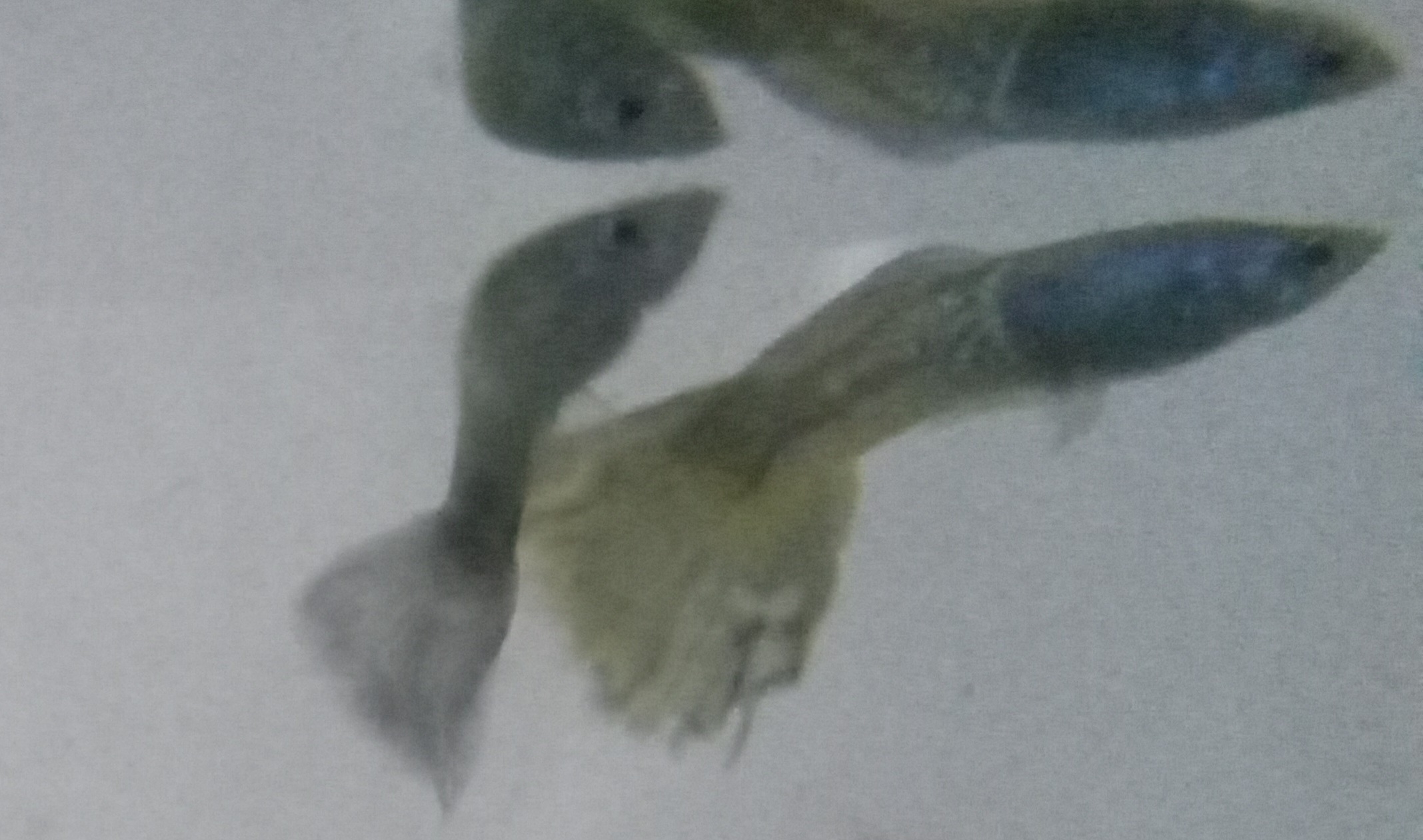 20230613_201145.jpg