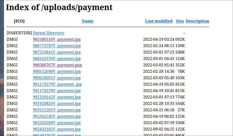 2024-04-29-184837_hyprshot.png