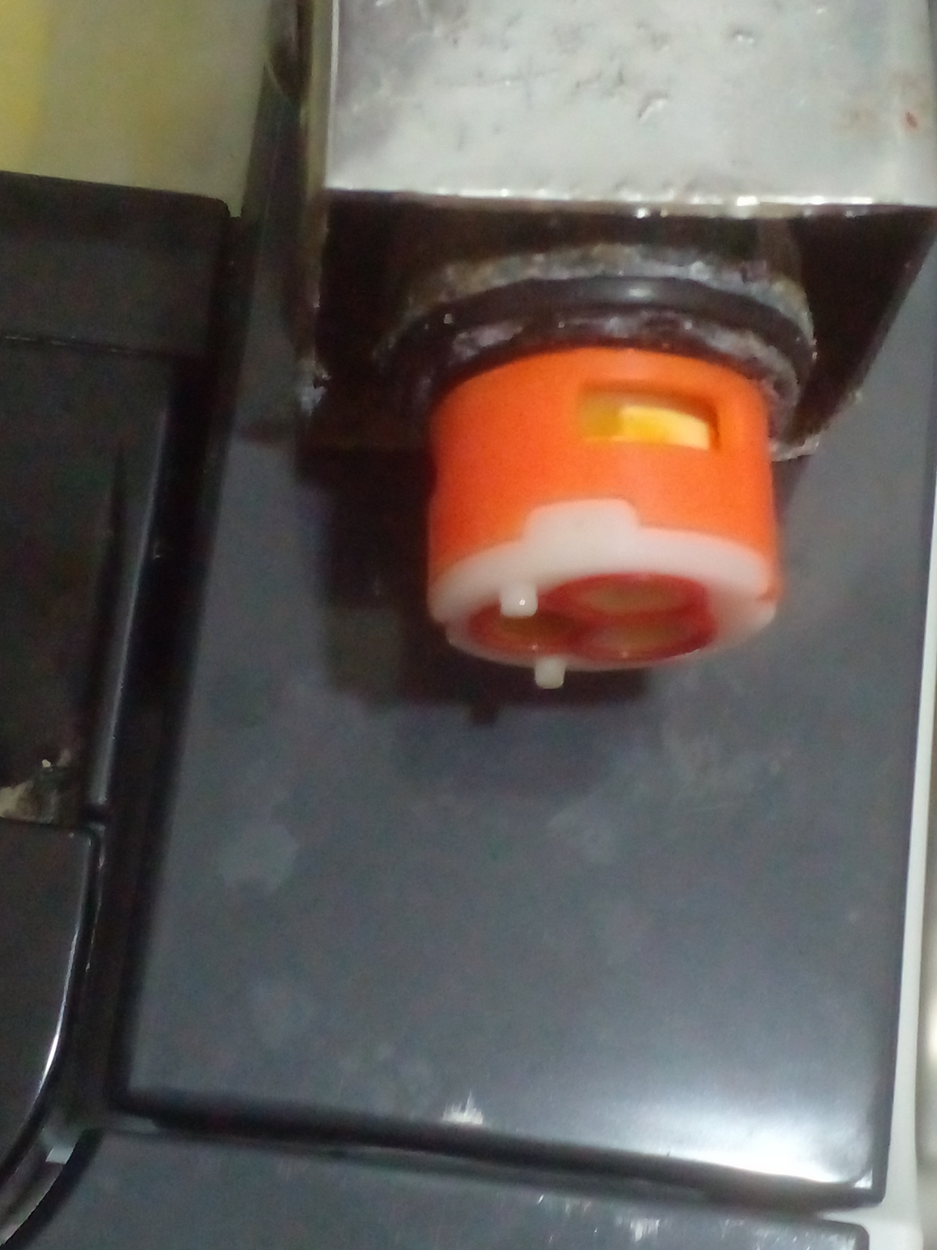 20260305_011209.jpg