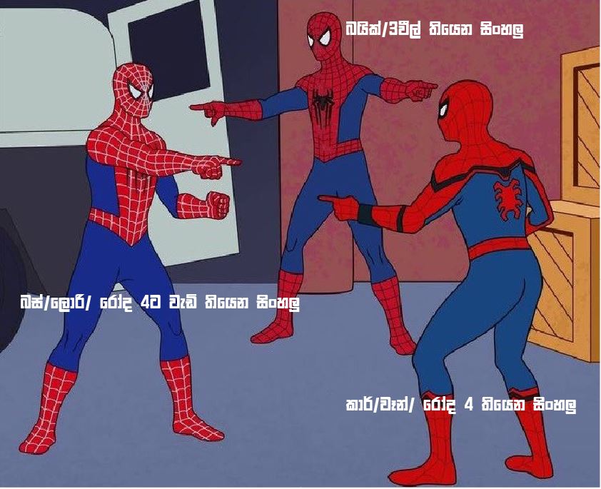 22.JPG