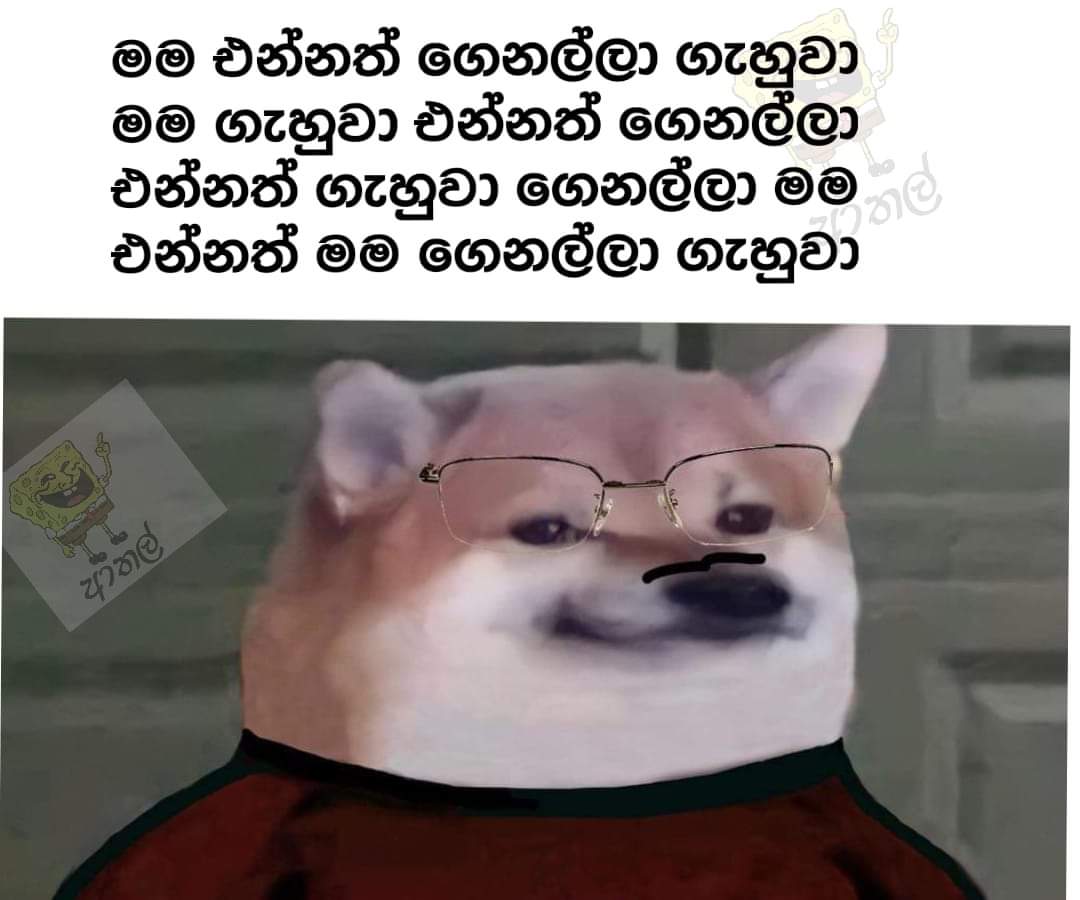 239390079_369757291369411_1112945812699074361_n.jpg