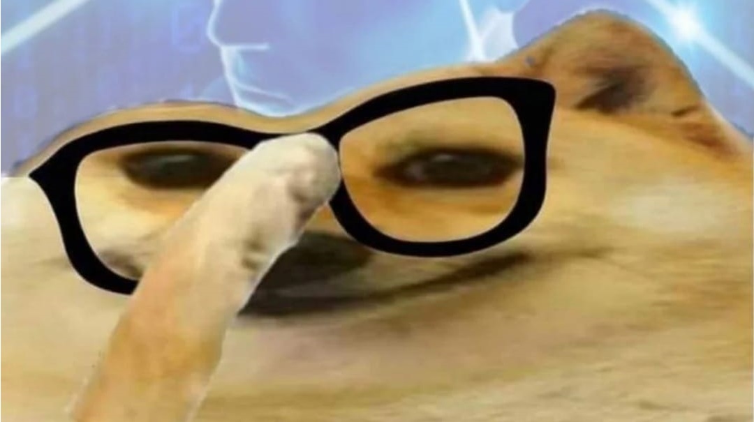 241113451_379471387091838_3909259178549271660_n.jpg