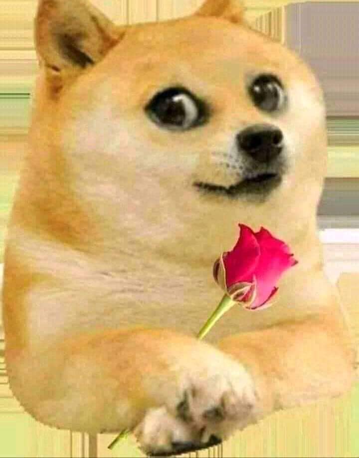 268277014_4779278772151792_1090819704099229998_n.jpg