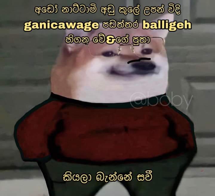 277522216_518691069613109_3736158501868606091_n.jpg