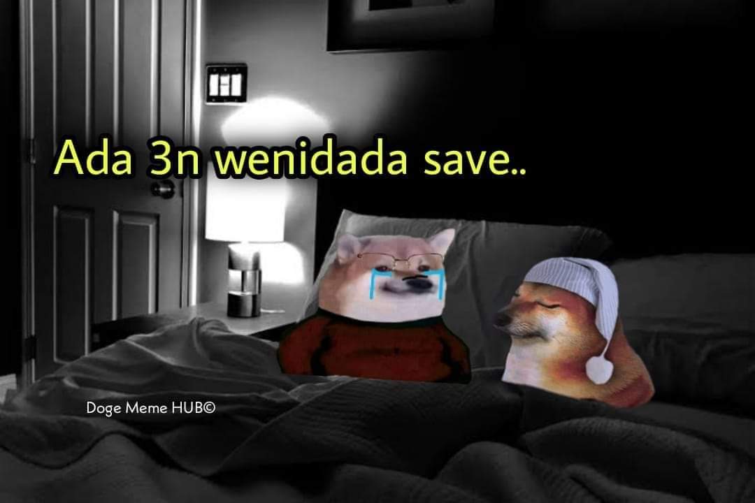 277551860_430849702131946_5270856109935208327_n.jpg