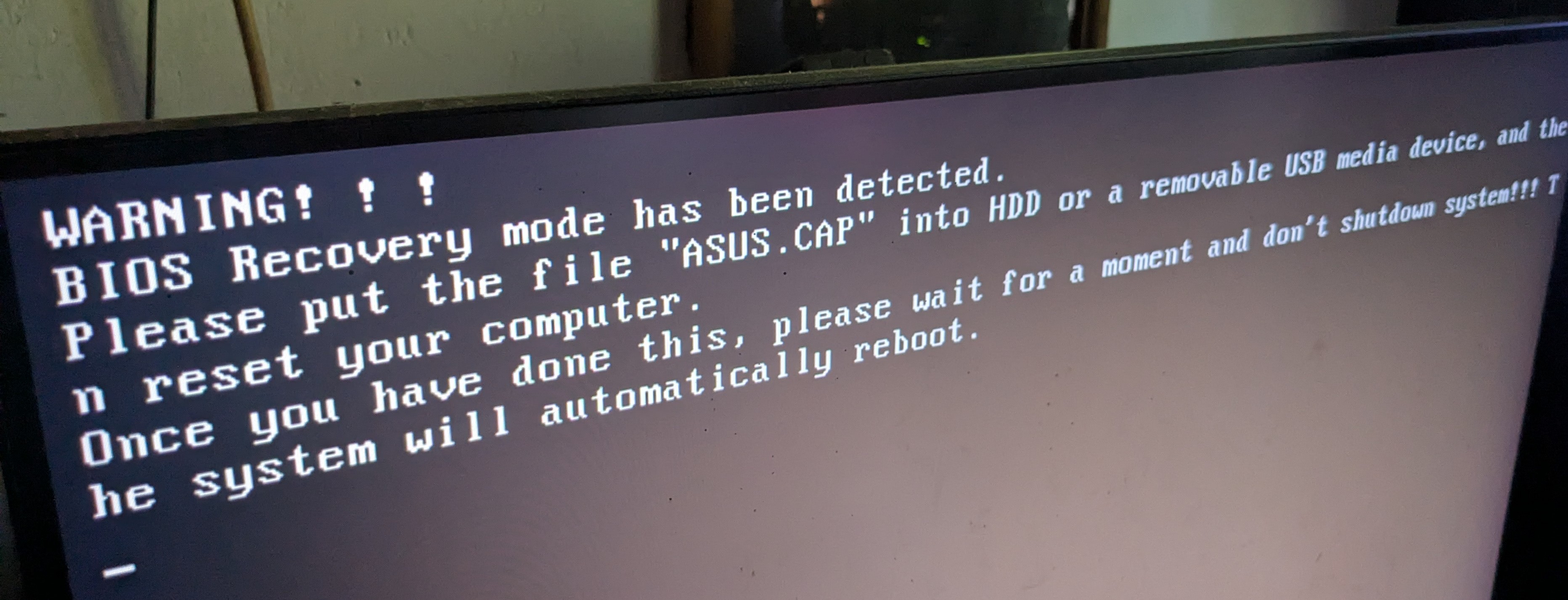 28883.jpg