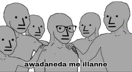 293038354_179572094475655_5955220054588194065_n-jpg.177239
