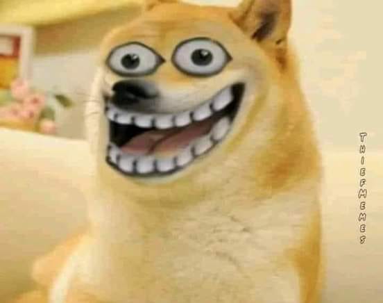 301997016_597160798661163_1694599934028355133_n.jpg