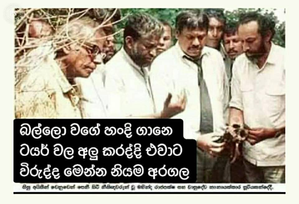 309192414_186803773859629_6454549709095620889_n.jpg