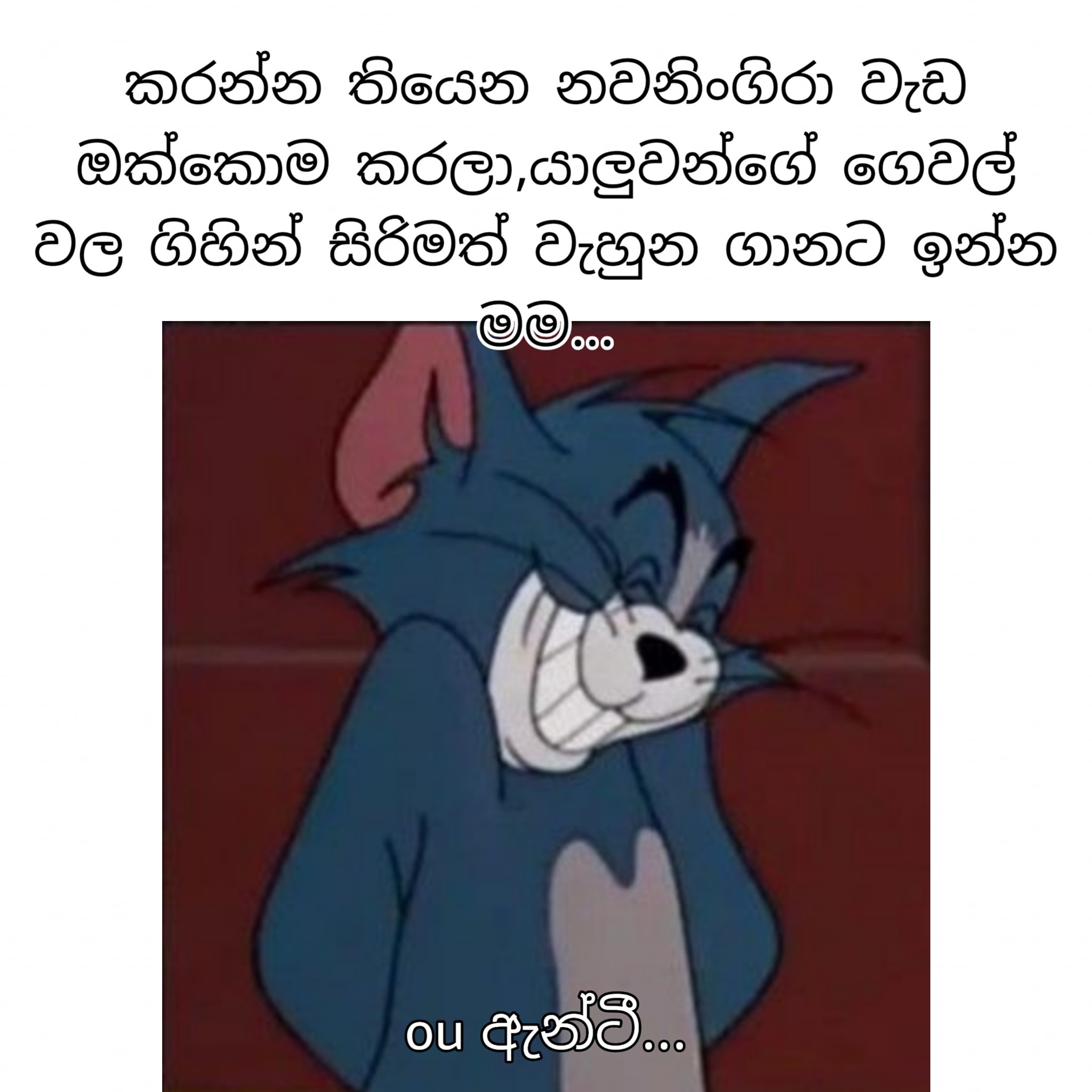 309581293_840263613826459_8608687776917015870_n.jpg