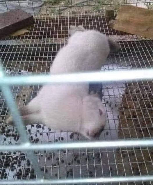 320567475_516444833777972_5427148754910759779_n.jpg