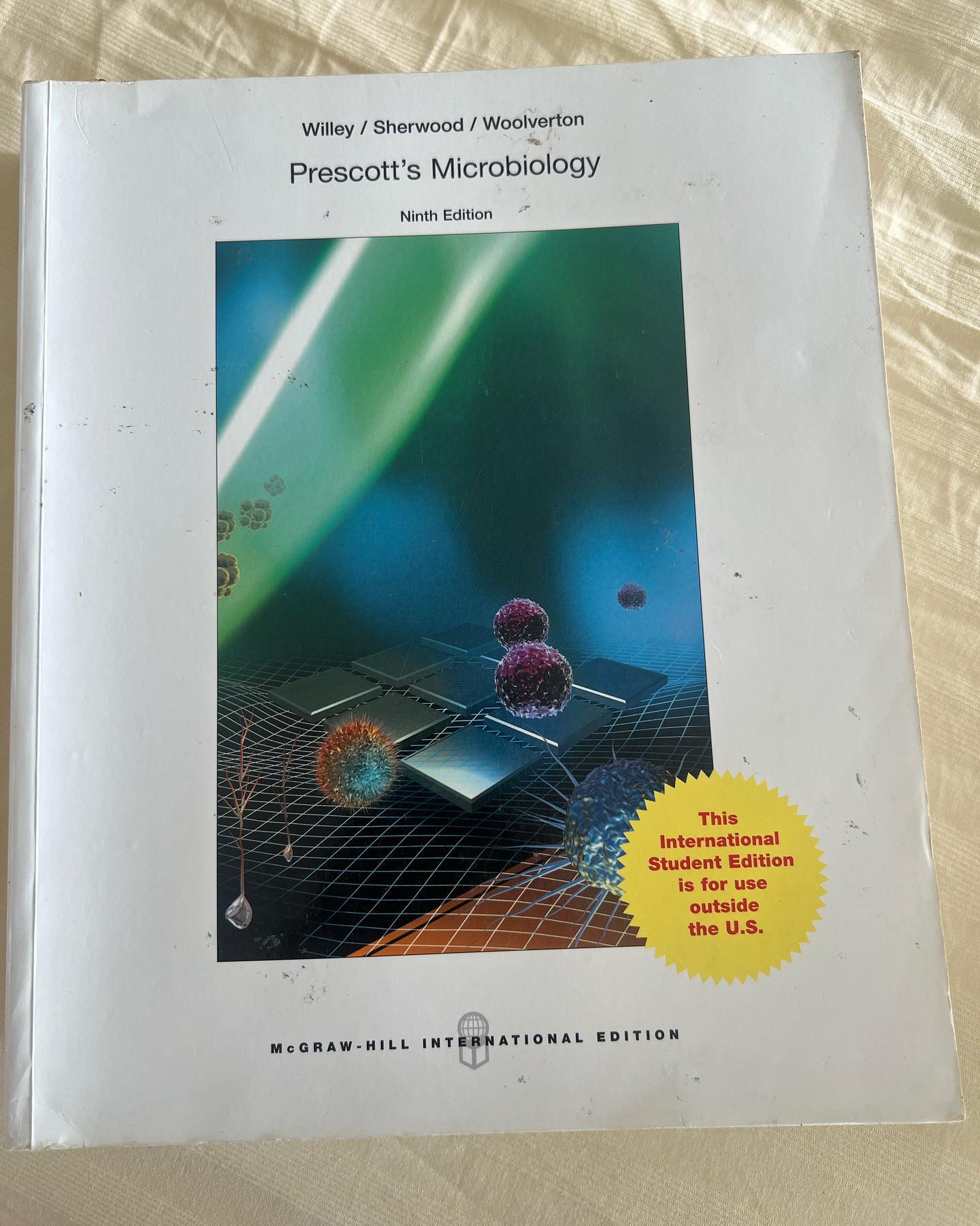 324497389_542504451263595_4240397649504956465_n.jpg