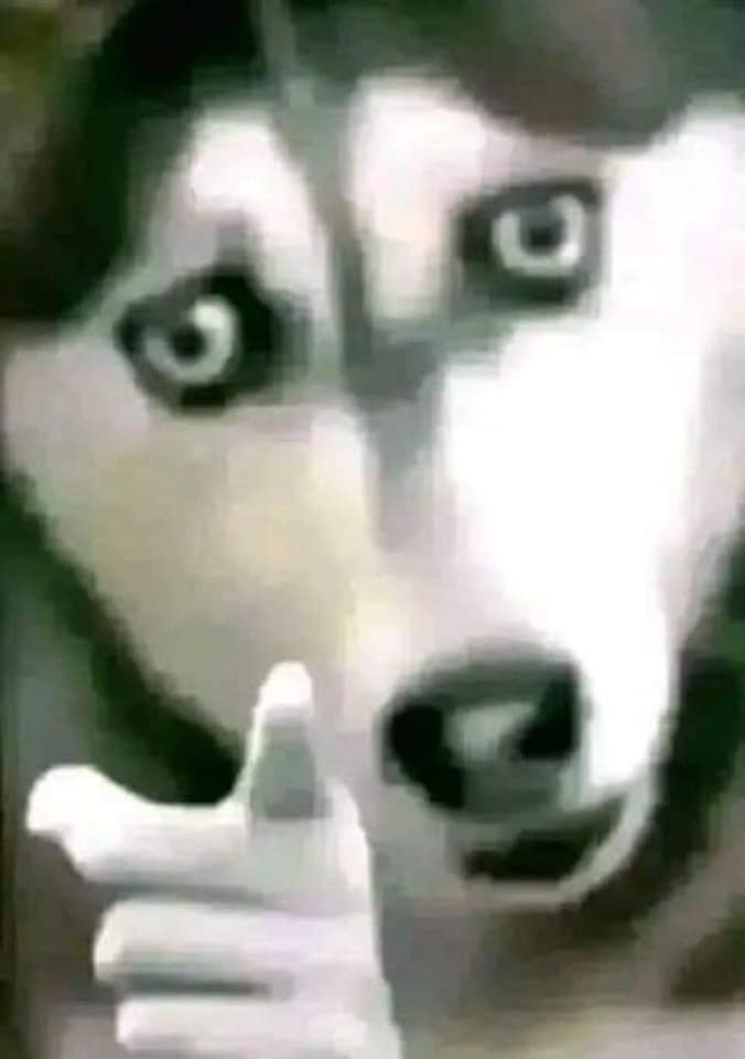 331711436_1223266331617369_8435273323696660606_n.jpg