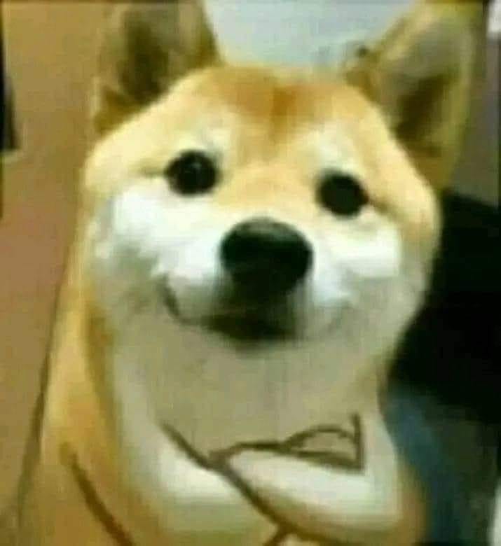 346044835_788714452613270_6823607611206508371_n.jpg