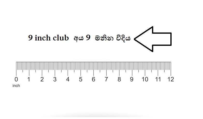 360_F_224030197_s4KeFG91MuY1LDk88OiEMnqiUABYKEa2.jpg