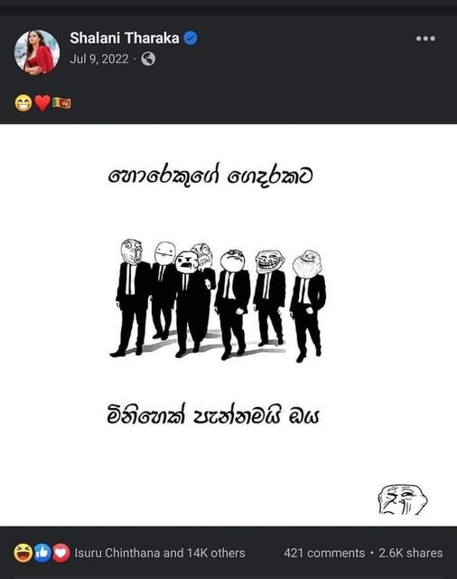 363348616_296958796162126_1503227371383082242_n.jpg