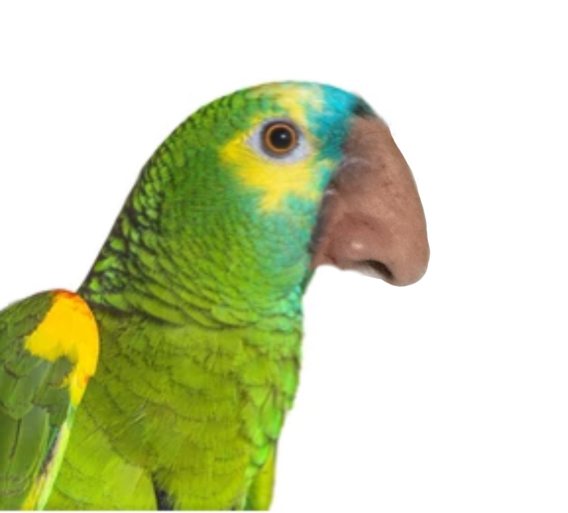 3BD89DA9-9CEB-4868-9D1A-607CAAD36BD7.jpeg