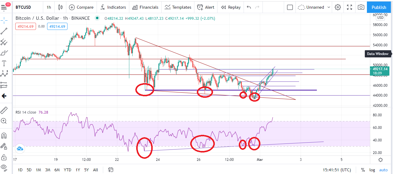 4 Bull Div.png