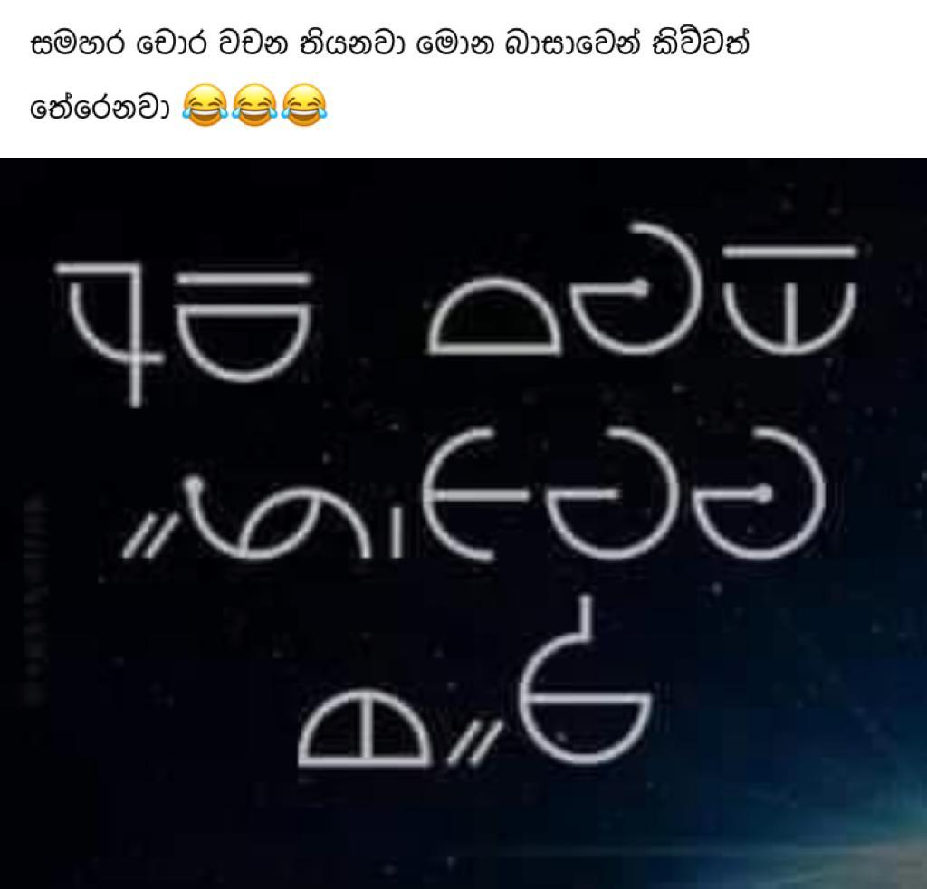 40A5515B-C0B9-4F2C-AACE-B0101E674EB4.jpeg