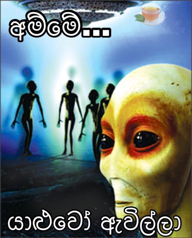 44324855_492810097861224_7197534927968010240_n.jpg