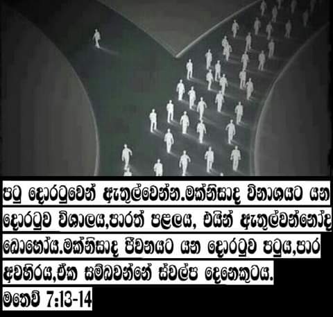 46C48BCA-6B4A-423B-9534-323BAF741101.jpeg