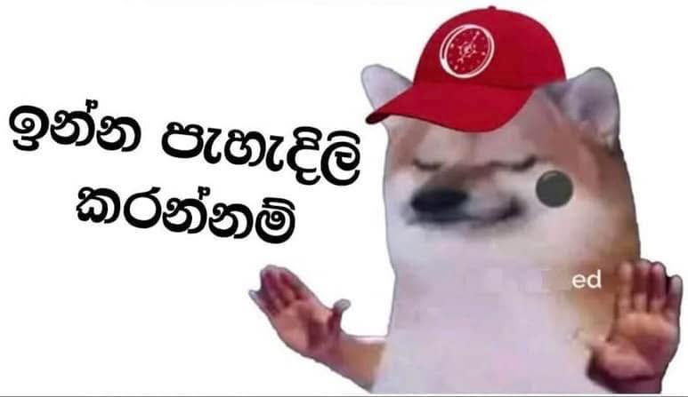 4u3aBU9.jpeg
