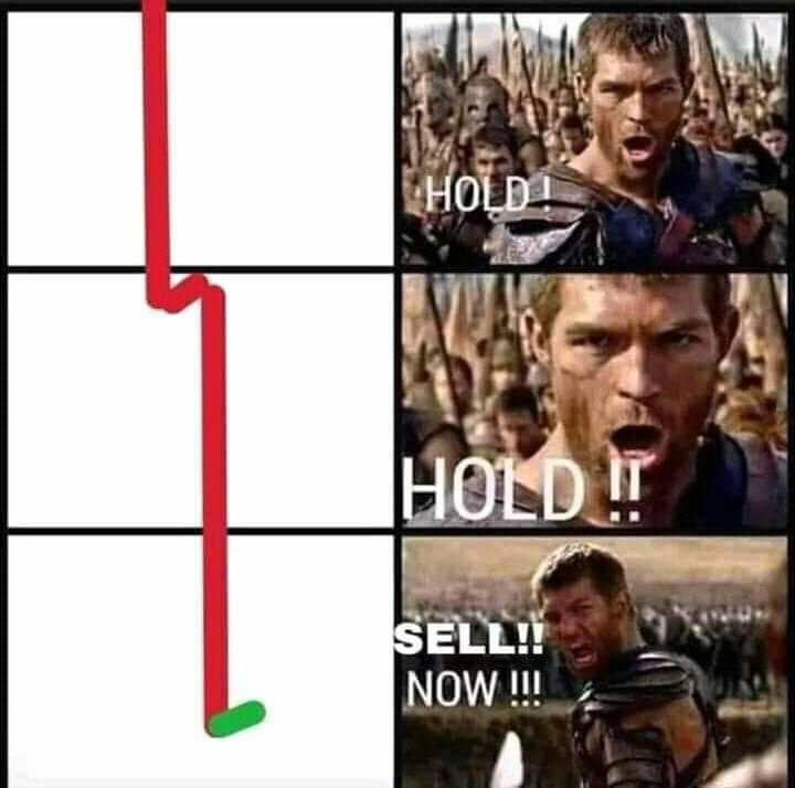 500078500846_21974.jpg