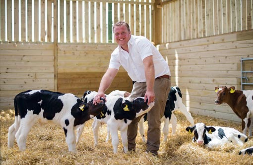 5244273-mike-brend-veal-c-jim-wileman.jpg
