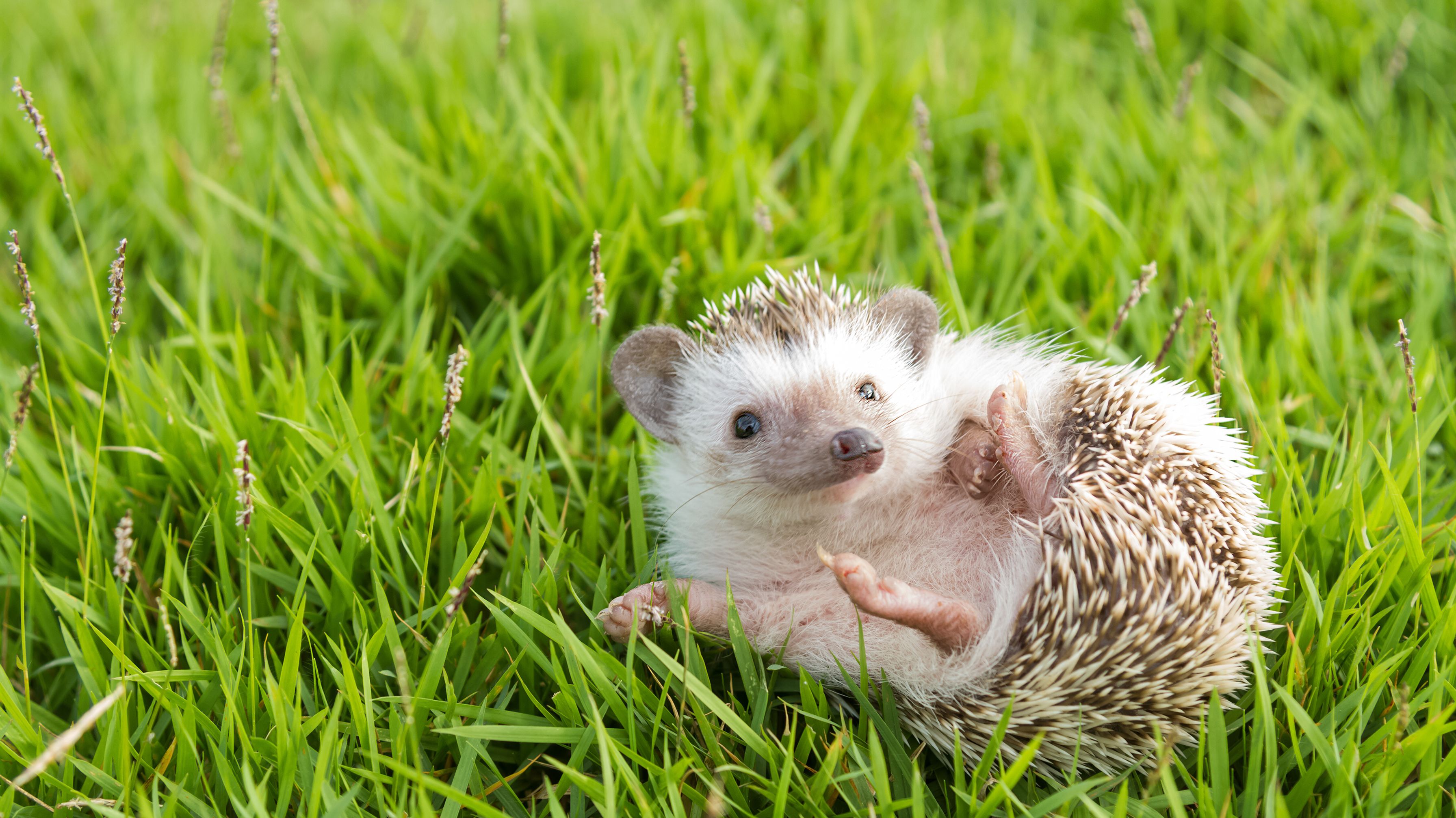 56004-istock-496545234.jpg