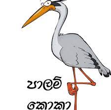 573979.jpg