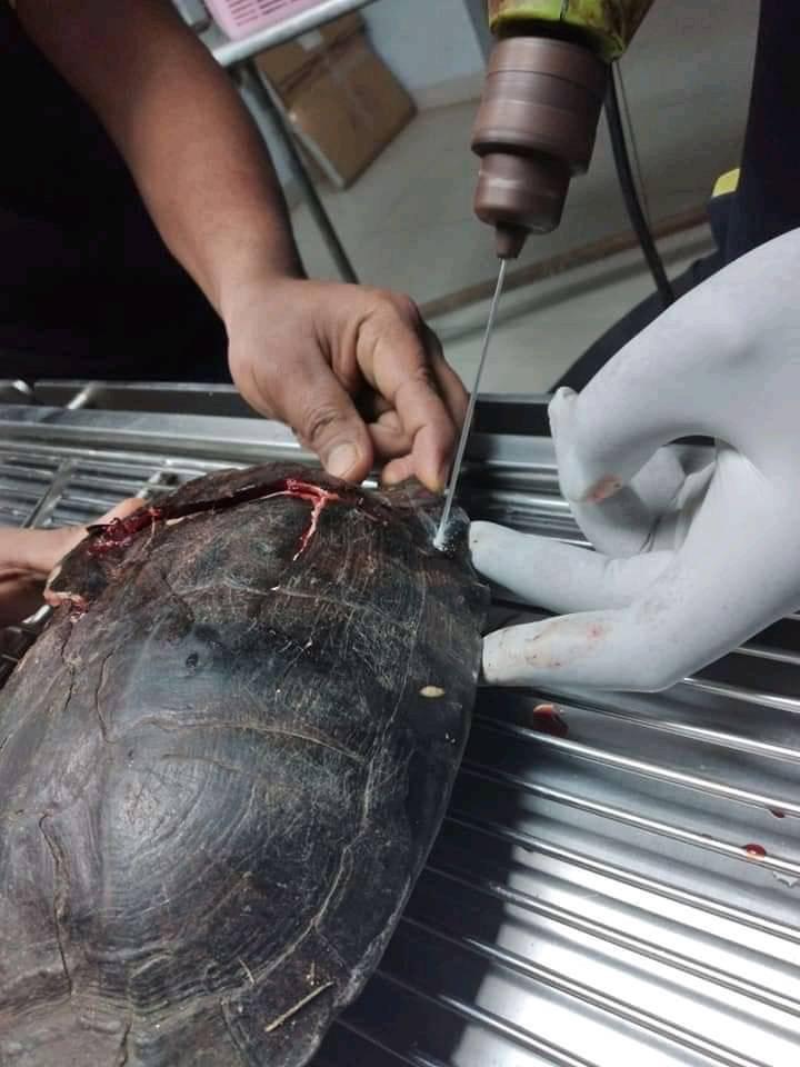 58EC7DCC-BFEB-4799-A489-A4FD3BCF72A5.jpeg