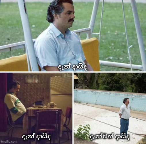 5bk6nv.jpg