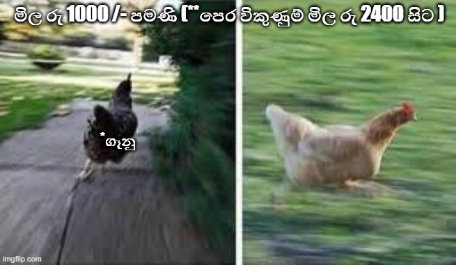 5c20k9.jpg