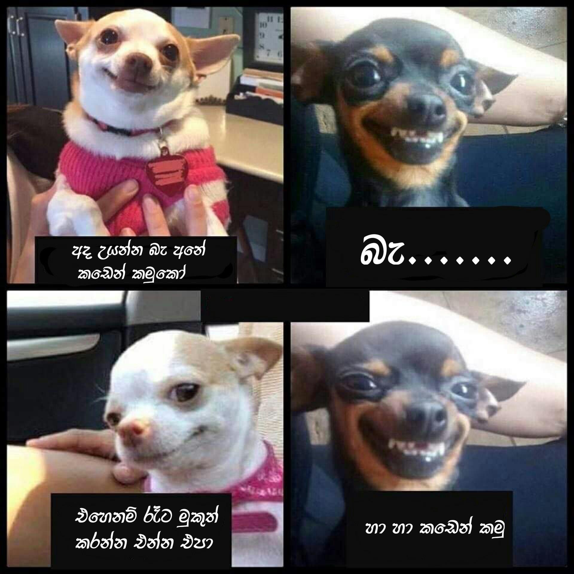 5D012E7A-CE75-4B22-988C-0E09A83F51B6.jpeg