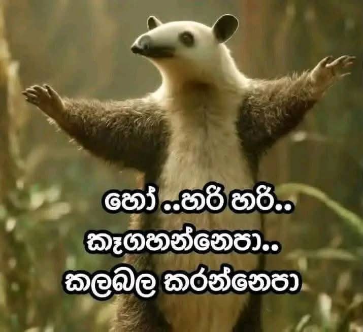 5d4acd51-1b71-4e50-b775-3f57c85e4b20.jpeg