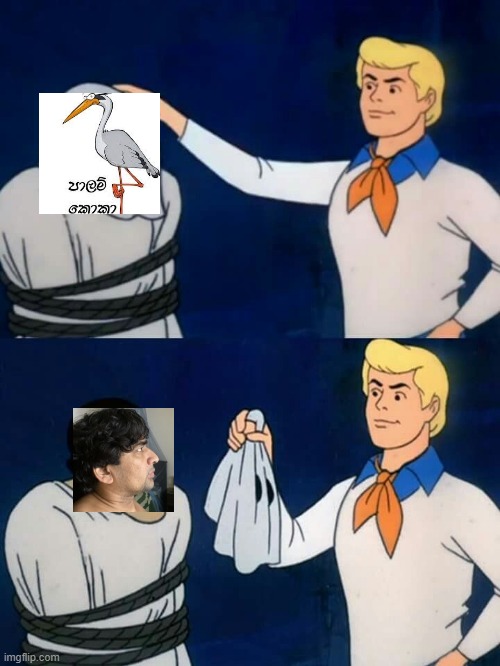 5jlpj7.jpg