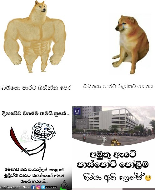 5q3o5g.jpg