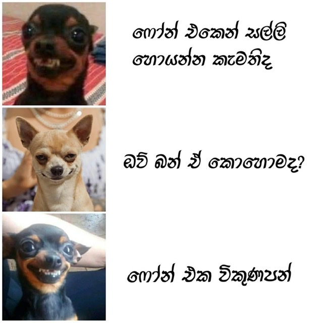 60134512-D7DD-4B06-B562-E31D1DF39BA9.jpeg