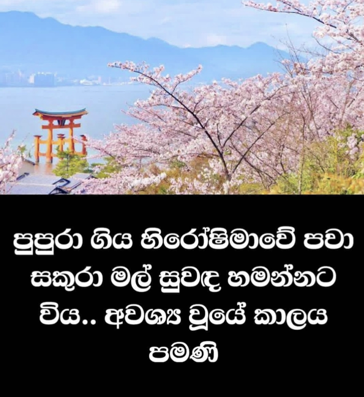 68E83488-F06E-4538-9897-B58B8D270FC1.jpeg